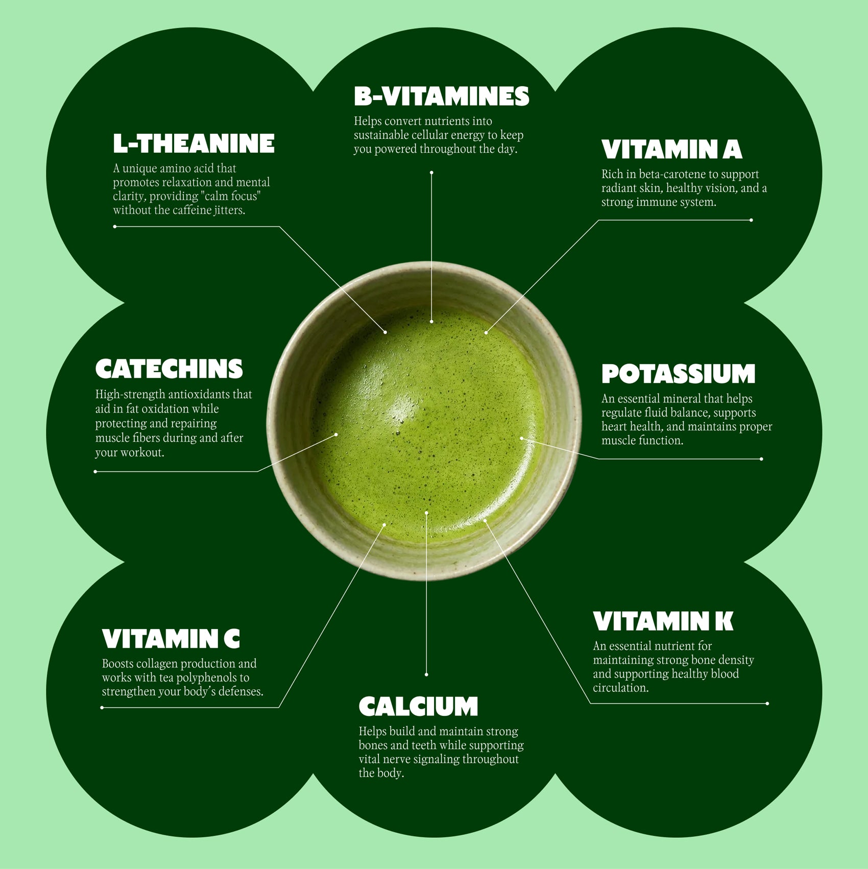 Infographic of matcha with health benefits labelled around it on a green background